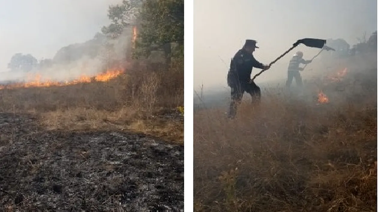 Incendiu puternic în Dolj. Există pericolul ca focul să cuprindă o pădure - VIDEO