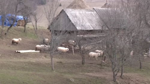 Localitatea din România care este în pragul dispariției! Doar 7 oameni mai locuiesc aici: ”Ne mănâncă sălbăticiunile”