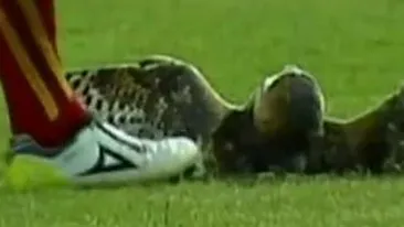 Fotbalistul Luis Moreno, 45 de zile de inchisoare pentru uciderea unei bufnite in timpul meciului