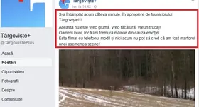 Galerie foto - poza 1