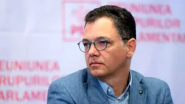 Purtătorul de cuvânt al PSD: ”Românii nu mai au timp de fandoseli politice. Liberalizarea pieței energiei, pusă în practică de ministrul Virgil Popescu, a fost un eșec de proporții”
