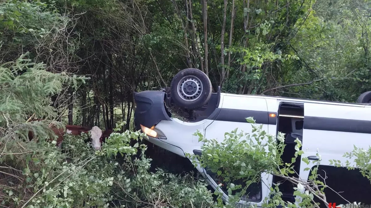 Opt români au fost implicați într-un accident rutier în Austria. Mai multe persoane au ajuns la spital