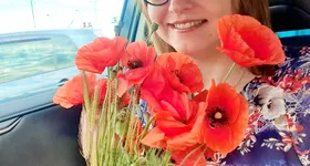 Galerie foto - poza 3