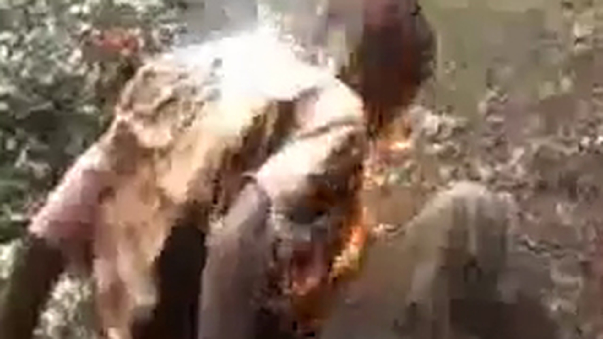 VIDEO TERIFIANT! In Kenya oamenii sunt maltratati si arsi pe rug pentru vrajitorie!