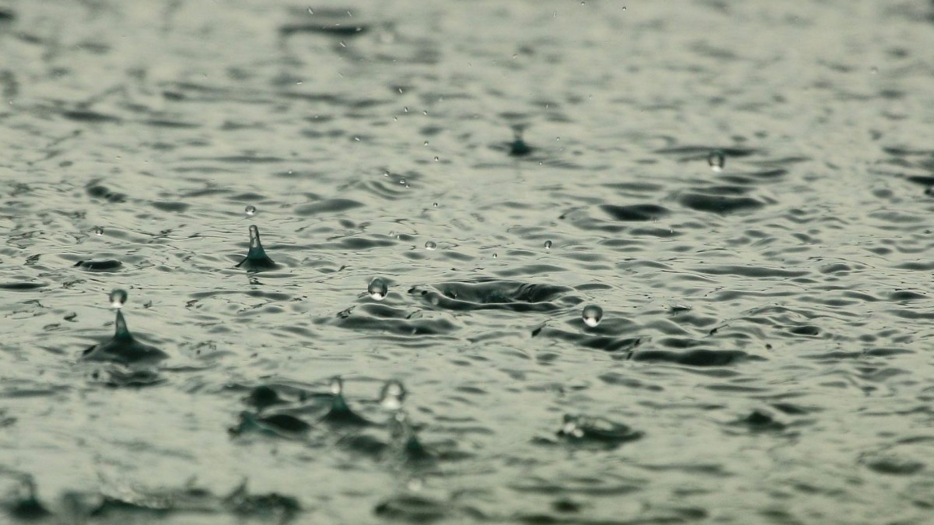 Prognoza meteo marți, 1 iunie. Vreme instabilă și rece