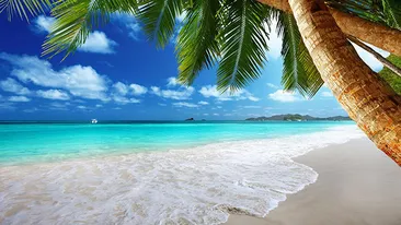 Aşa ceva vezi doar în filme! Vezi cum au fost salvaţi 3 bărbaţi naufragiaţi pe o insulă