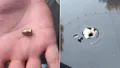 Glonțul-fantomă care a găurit plafonul unei mașini în Capitală dă bătăi de cap anchetatorilor. Pistolul ar putea aparține unui polițist și a fost deschis dosar penal pentru distrugere.