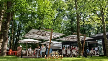 Distracția continuă la LAZOO Restaurant & Lounge! Show de excepție de joi până duminică