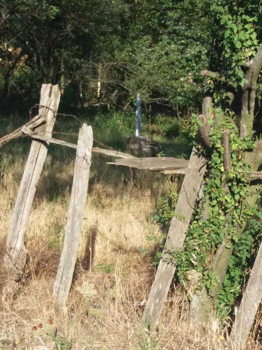 Bucicani, un loc rupt de lume