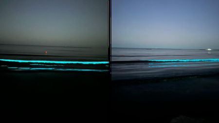 Valuri luminoase la Marea Neagră! Ce a provocat fenomenul special