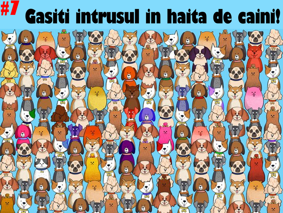 Test de inteligență cu 10 quiz-uri | Primul: De care dintre cele 3 femei e îndrăgostit tânărul din imagine?
