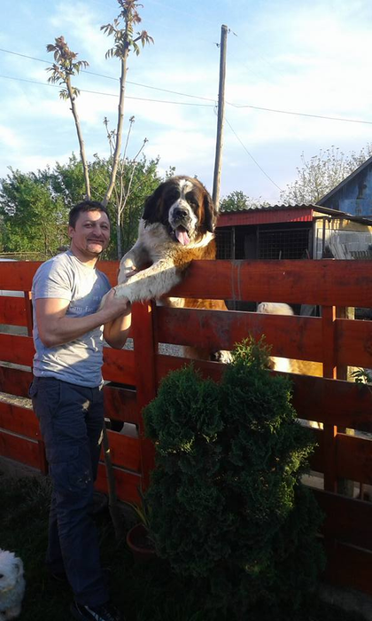 Noi detalii în cazul bărbatului care a murit într-un lac din Bihor. Foto: Facebook