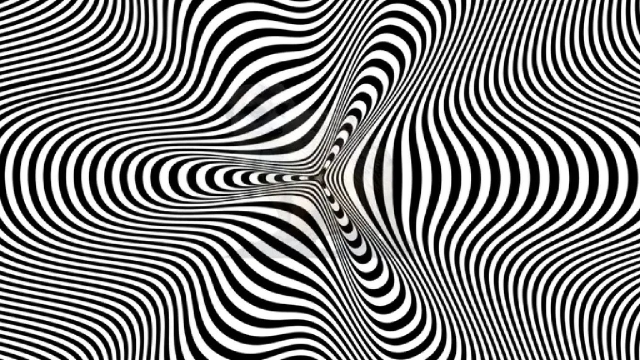 Iluzia optică a zilei | Un animal se ascunde în această imagine! Ai 10 secunde să îl descoperi