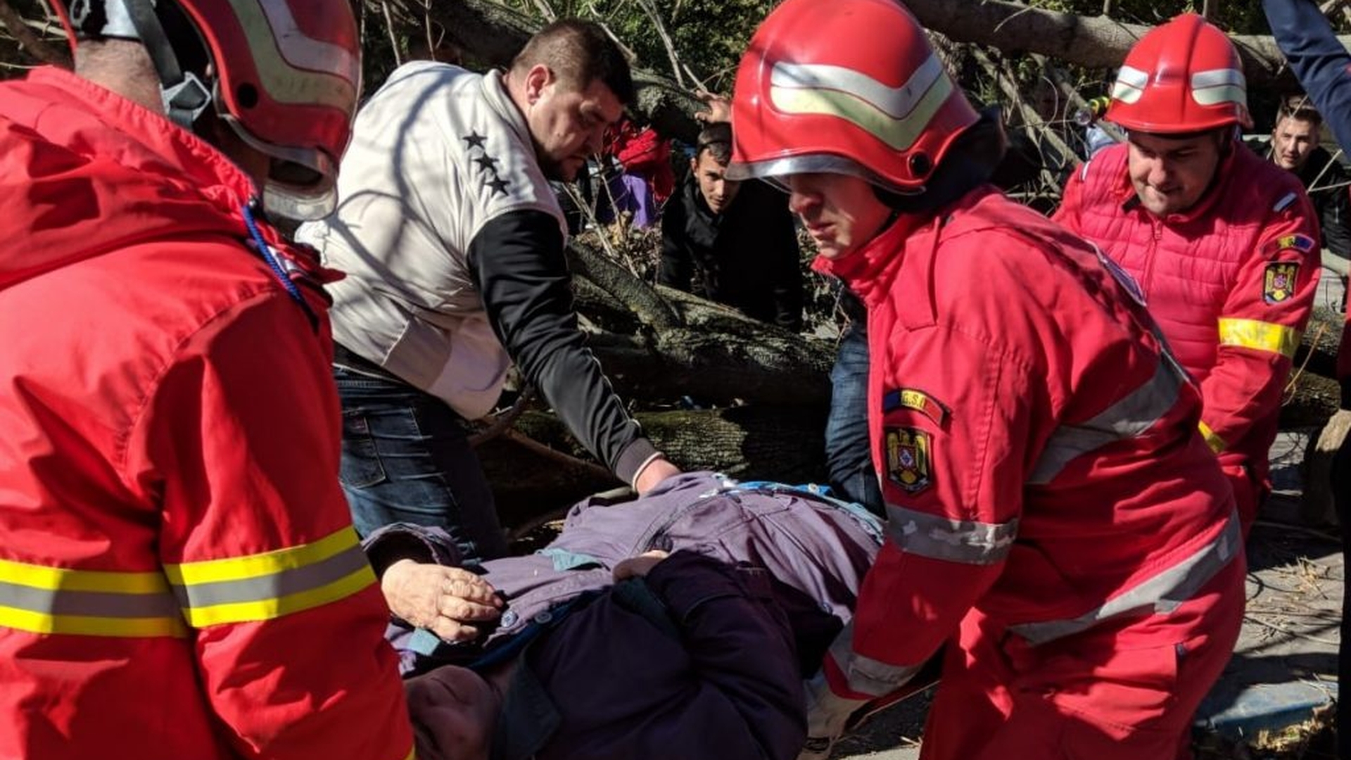 Un copac doborât de vânt s-a prăbușit peste o femeie, la Craiova. Șase județe din sudul țării se află sub cod portocaliu de vânt