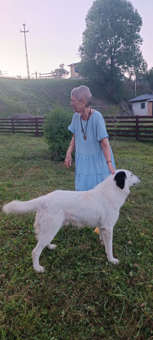 Doina Jela s-a stins din viață/ Sursa foto: TVR