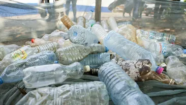 Reciclarea plasticului nu funcționează: cele 12 motive pe care nu ți le spune nimeni