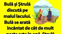 BANC | Bulă și Ștrulă discută pe malul lacului