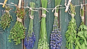 Puterea medicinei alternative: plantele pot avea calitati vindecatoare sau distrugatoare