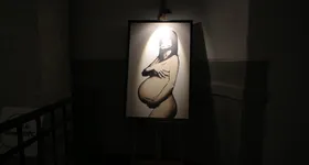 Galerie foto - poza 4