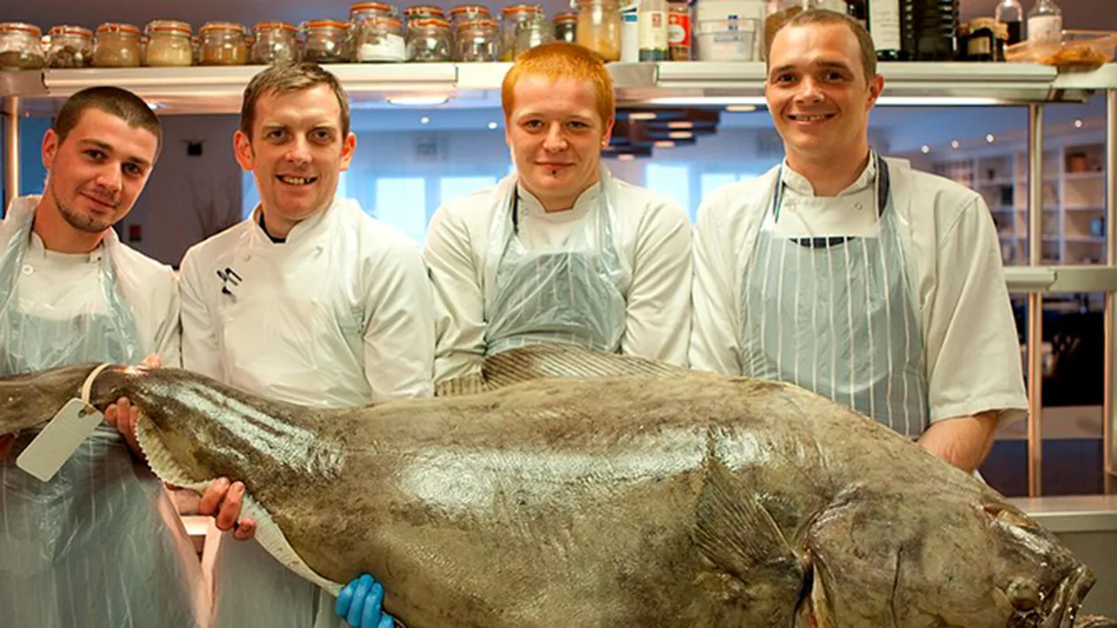 Au cumparat un peste de 42 de kilograme