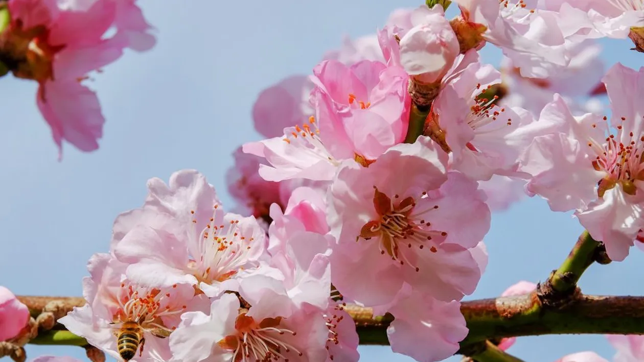 Cum va fi vremea în noaptea de Înviere. Vremea în zilele de Paște 2018