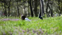 METEO 13 MAI! Vremea se va mentine calda. Ce se intampla in alte zone din tara!