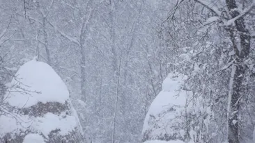 De Crăciun va ninge, iar temperaturile scad până la - 16 grade! Vezi aici prognoza meteo pe două săptămâni