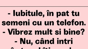 BANC | "Iubitule, în pat semeni cu un telefon"
