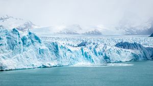 Creaturile care trăiesc și 11.000 de ani. Sunt foarte bizare și locuiesc în Antarctica