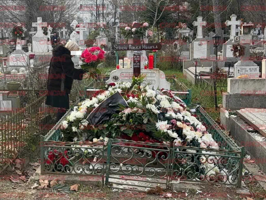 Gestul nepoatei Rodicăi Stănoiu