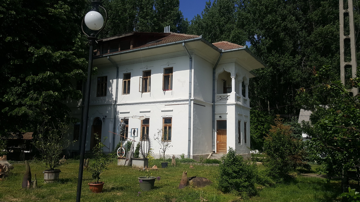 Casa lui Mircea Dinescu/ Sursa foto: Facebook