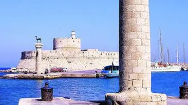 Vacante de vara la preturi reduse