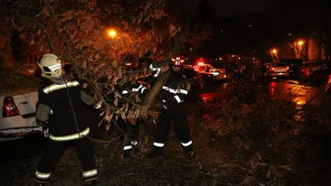 Mașini avariate, copaci, stâlpi și panouri căzute în București, din cauza vântului puternic