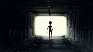 A fost scoasă la licitație fotografia cu autopsia unui extraterestru prăbușit cu un OZN