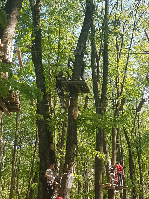 Denis Alibec a dat jocurile video pe o aventură la mare înălțime