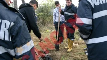 Au scos doi cai dintr-o groapa