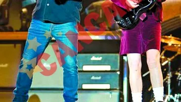 Seful Agentiei de Control si incasari din vama Nadlac, destituit fiindca subordonatii le-au cerut spaga celor de la AC/DC