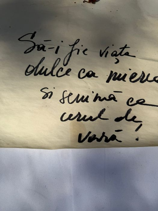 Detaliile neștiute de la botezul micuței Nina. Laura Cosoi: „Fiecare lucru a avut legătură cu tematica pe care am ales-o”