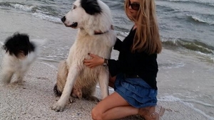 Acuzata ca si-a aandonat cainele, Tabi Budi rasufla usurata! Patrupedul s-a intors acasa intr-o zi cu o semnificatie aparte