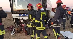 Galerie foto - poza 2