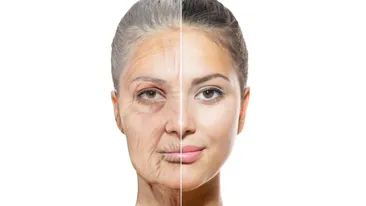 „Fântâna Tinereții”, descoperită de cercetători. Cele două medicamente care țin bătrânețea la distanță