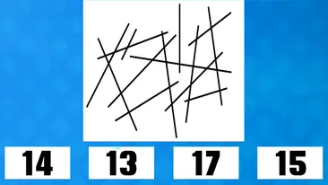 Test de inteligență | Câte linii apar în această imagine: 14, 13, 17 sau 15?