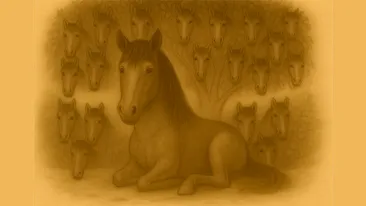 Test de inteligență | Câți cai sunt, de fapt, în această iluzie optică?