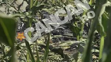 Fragmentele din epava elicopterului cazut, stranse din lanul de porumb, dupa o noapte de cautari
