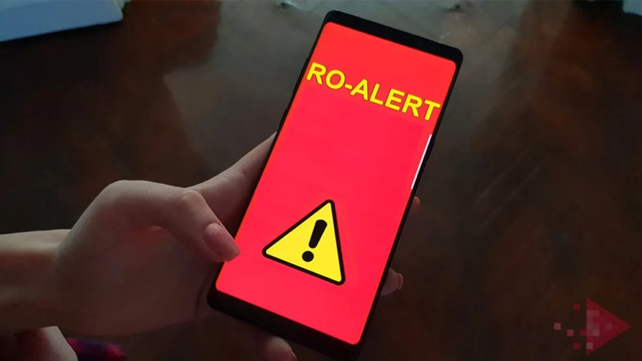 Urșii au ajuns să se plimbe și prin Ploiești! Locuitorilor li s-a cerut să stea în case prin mesaje Ro-alert