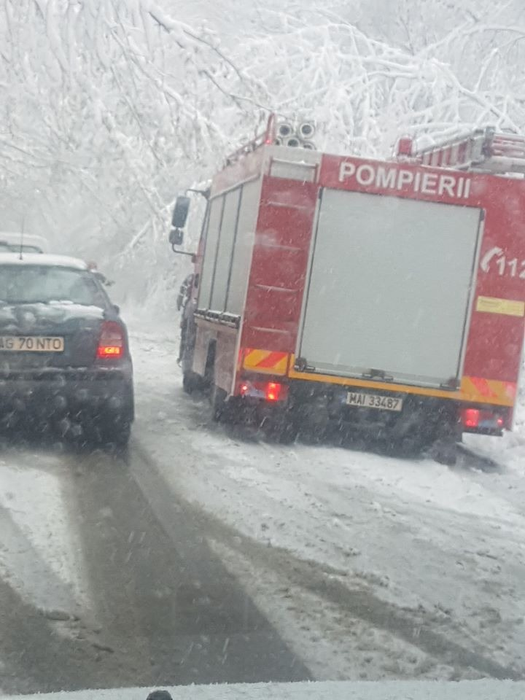 Cod portocaliu în Argeș: copac doborât și autoturisme în șanț!