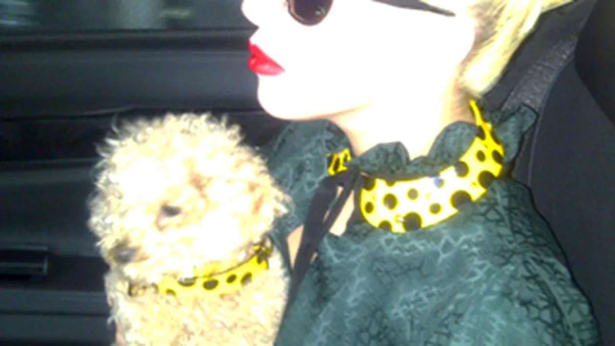 Uite ce a facut catelul lui Lady Gaga, Fozzi in culise, in timpul concertului