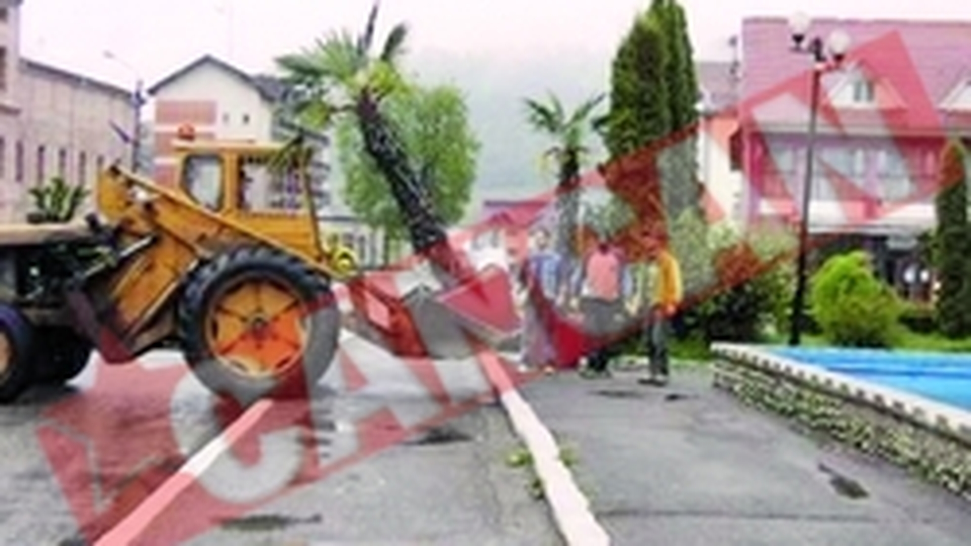 Mai multi palmieri decat trandafiri, la Nasaud