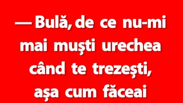 BANC | Bulă, de ce nu-mi mai muști urechea când te trezești, așa cum făceai când eram tineri?