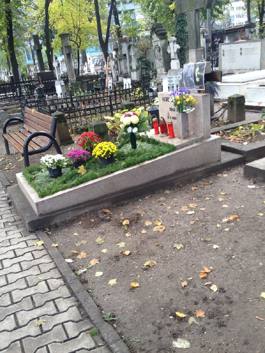 Mormântul lui Adrian Păunescu, plin de flori
